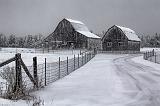 Barns In Snowfall_20408
